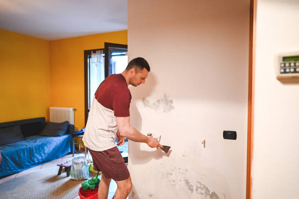 Best Commercial Mold Removal  in Grant City, MO